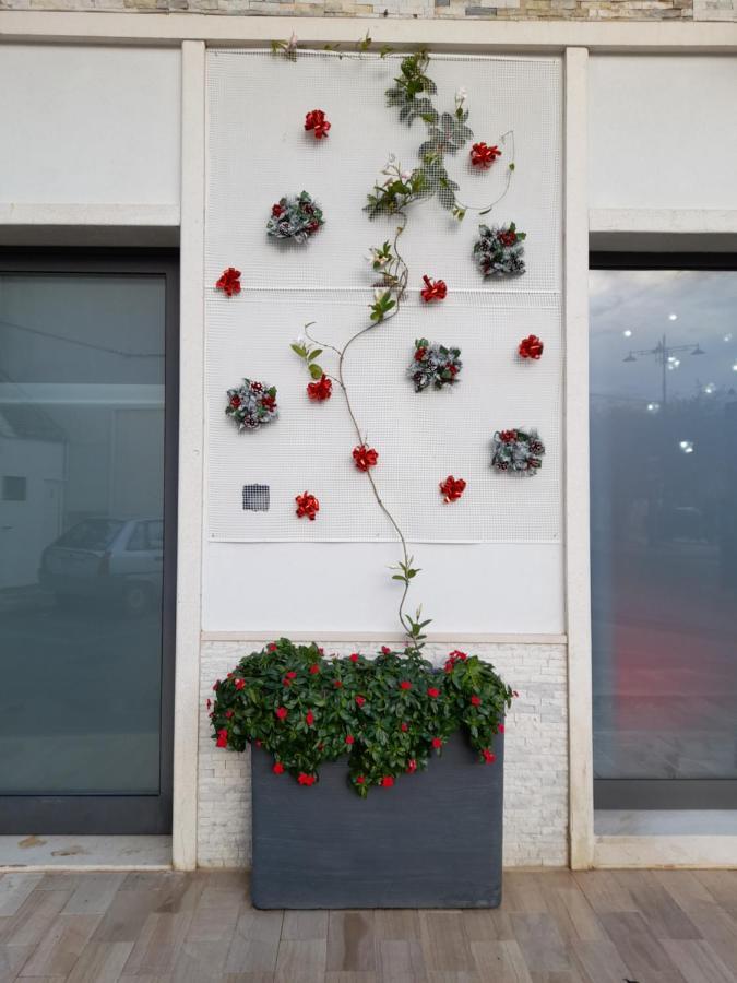 Dimora Palma Villa Alberobello Exteriör bild